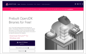 Adoptium openjdk it information