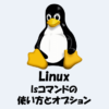 【Linux】lsコマンドの使い方やオプションを詳しく解説！