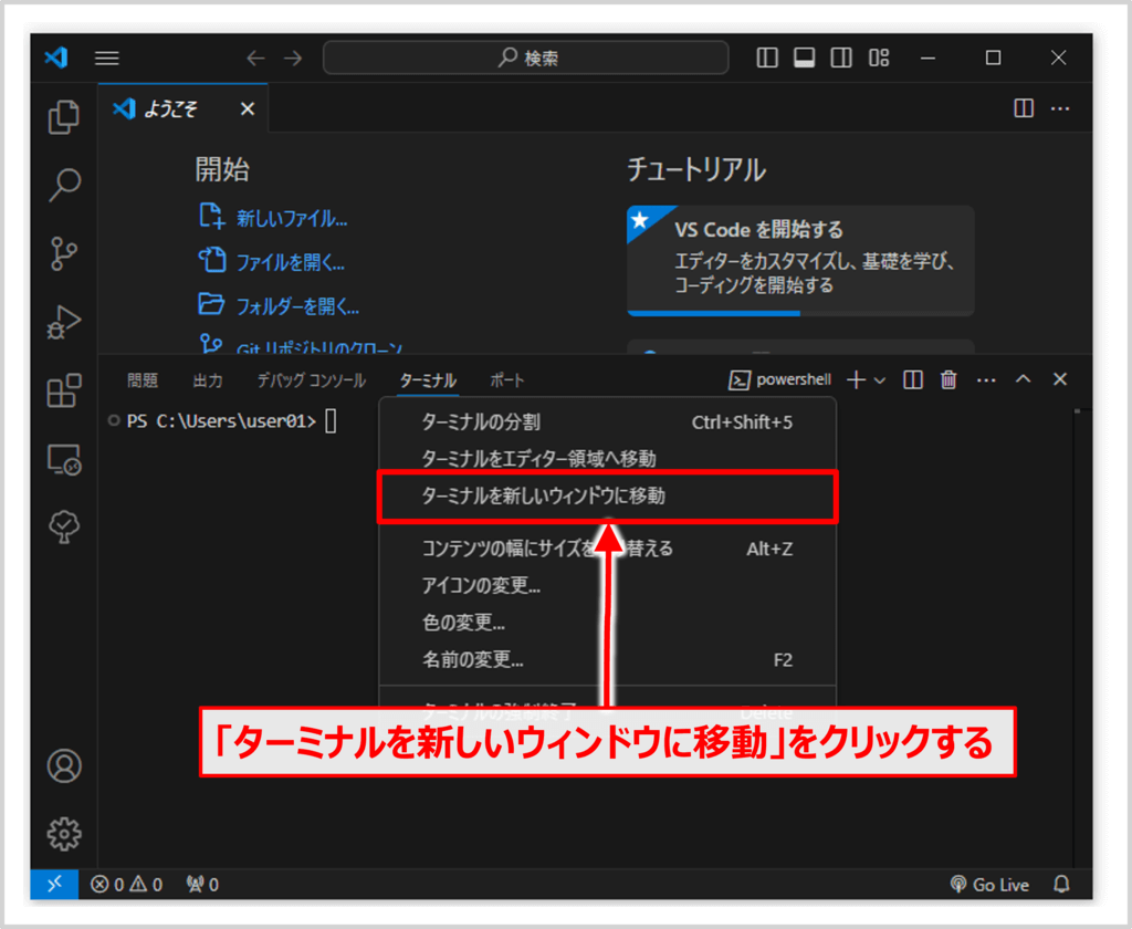 ターミナルを開いた後に「ターミナルを新しいウィンドウに移動」をクリックする