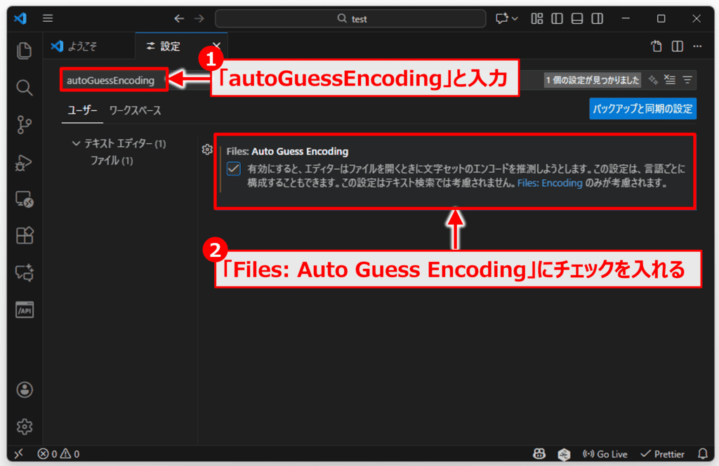 files.autoGuessEncodingの設定方法03